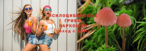 apvp Абинск