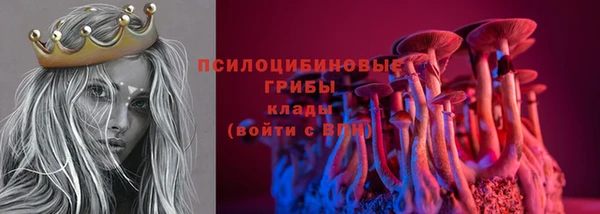 дурь Абаза