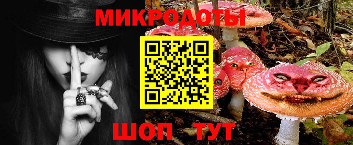 Киржач  Галлюциногенные грибы Cubensis  Вход с VPN 