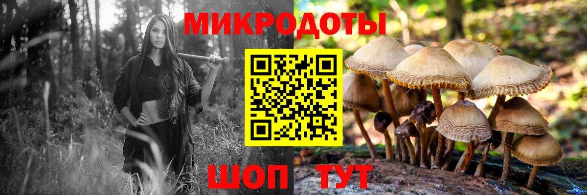 Галлюциногенные грибы MAGIC MUSHROOMS Киржач